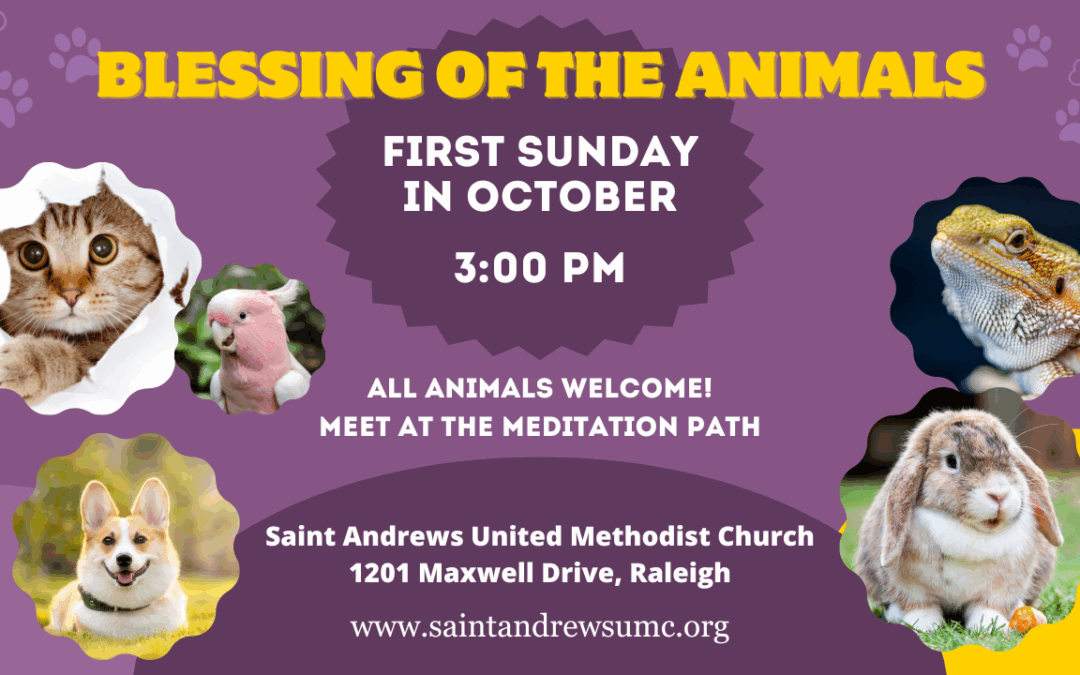 Blessing of the Animals